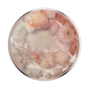花瑪瑙 天然石 ポップグリップ, PopSockets