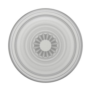 大人グレー クリア プラント ポップグリップ, PopSockets