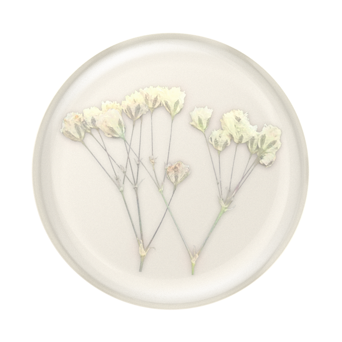 ベイビーかすみ草 押し花 ポップグリップ, PopSockets