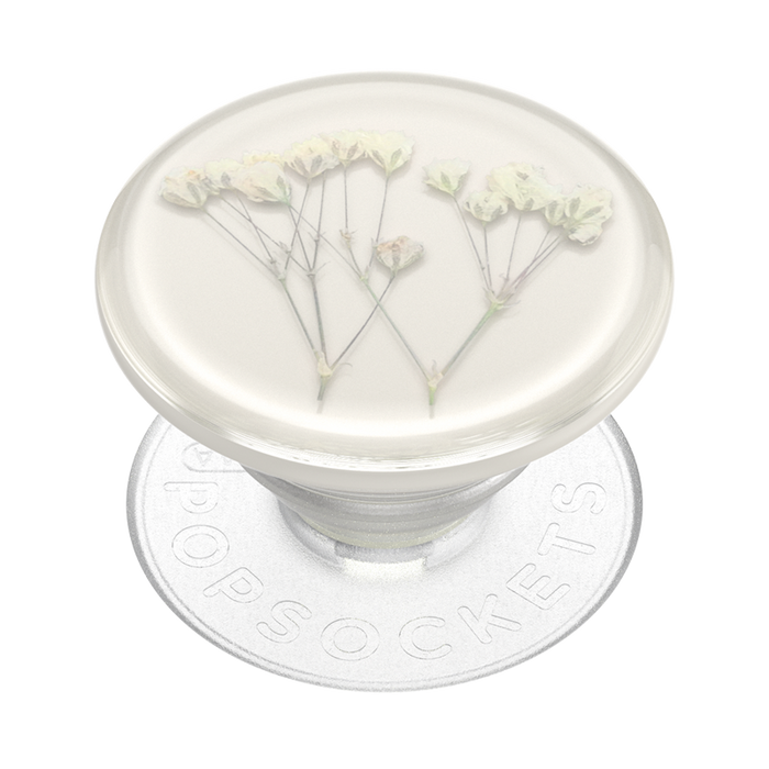 ベイビーかすみ草 押し花 ポップグリップ, PopSockets