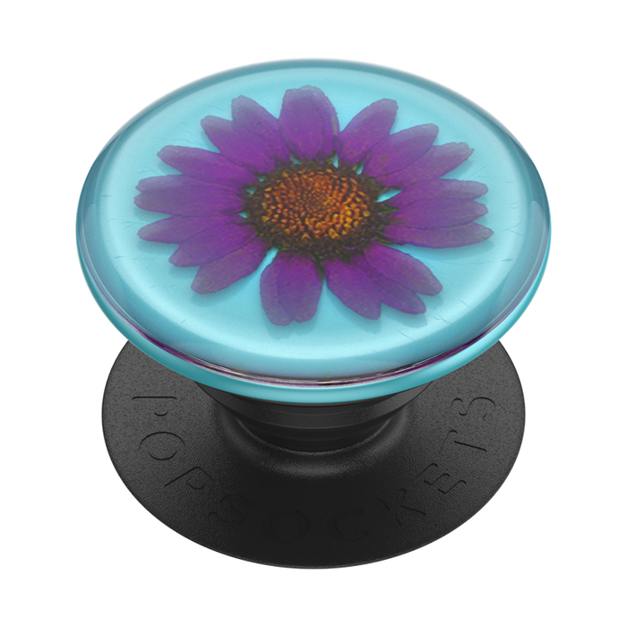 デリケートデイジー ポップグリップ, PopSockets