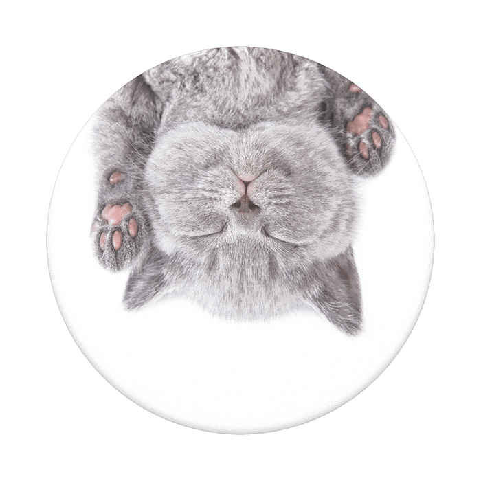 猫の昼寝 ポップグリップ, PopSockets